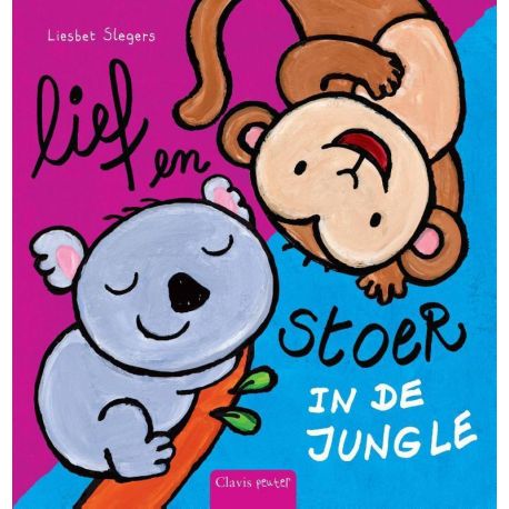 Buch auf Niederländisch