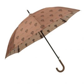 Regenschirm - Löwe