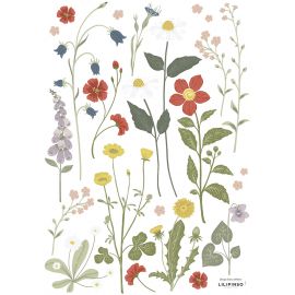 Aufkleber Set A3 - Wildflowers, buttercup & dandelion