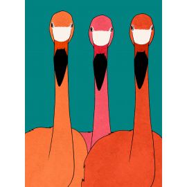 Puzzle - Flamingo Trio - 1000 Teile