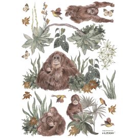 Wandaufkleber - Orangutan Family