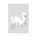 Wandposter - Swan - Grey Background