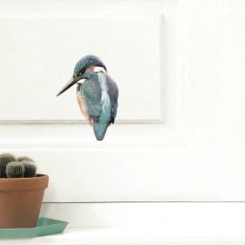 Wandaufkleber - Kingfisher