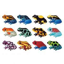 Memo - Tropical Frogs