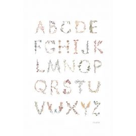 Poster - Medium -Alphabet International