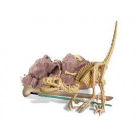 kit 'déterre ton dinosaure Vélociraptor'
