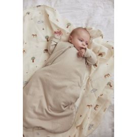 Jollein Schlafsack für Neugeborene mit Innensack 4-J 60cm B. Str. No