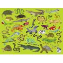 300 st puzzle Reptilien & Amphibien